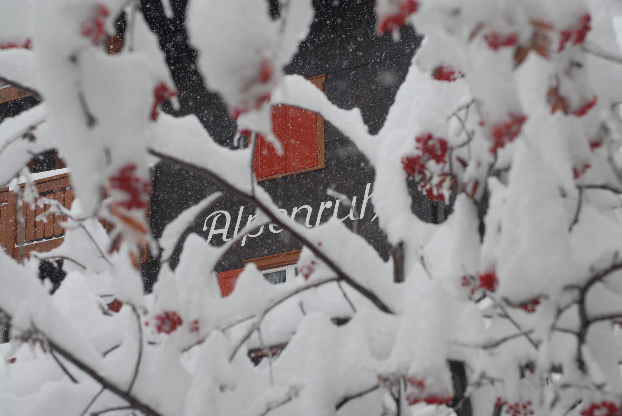 Chalet Alpenruh Saas Fee المظهر الخارجي الصورة
